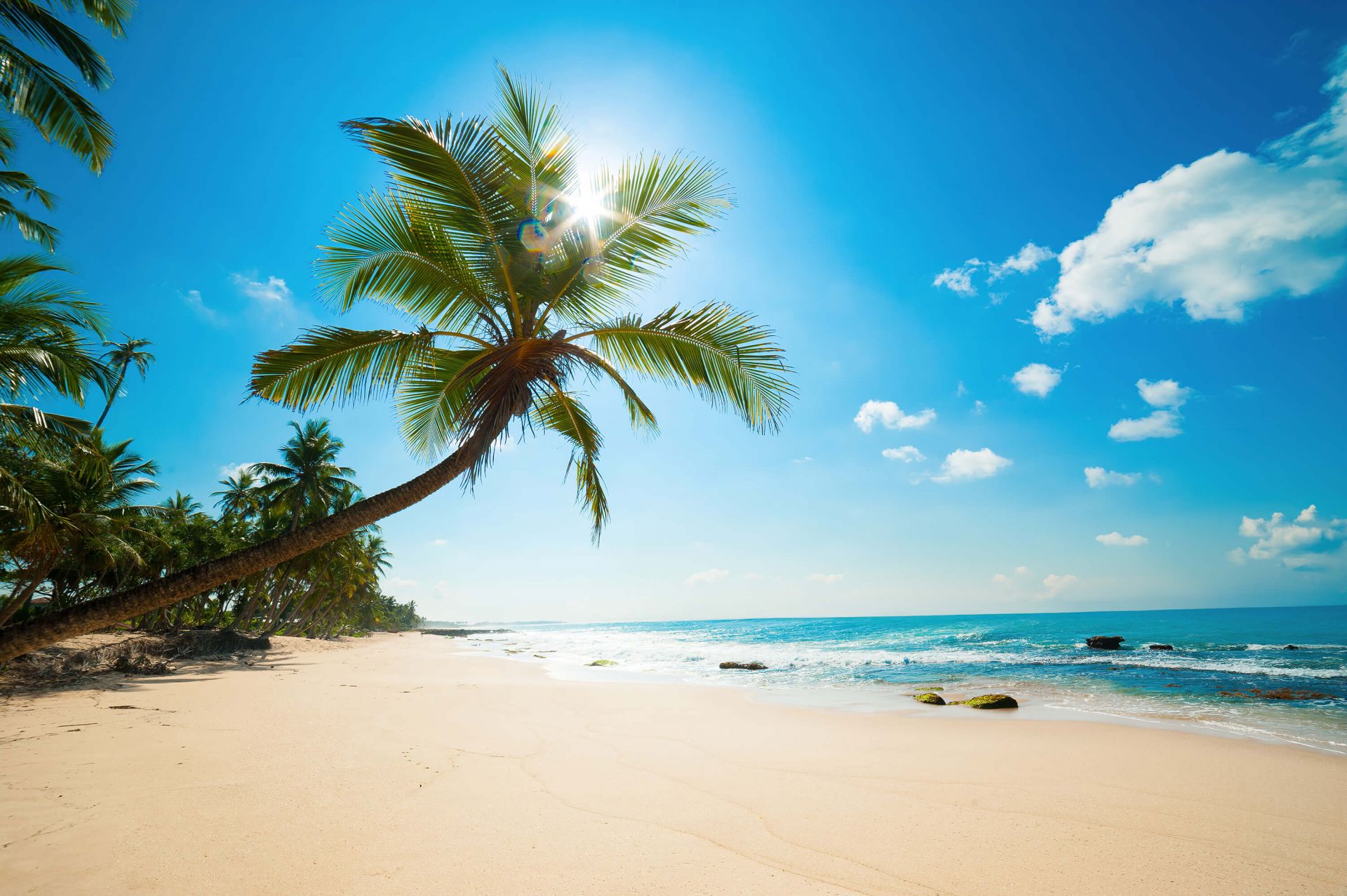 De 13 bedste sommerdufte til mænd 2026